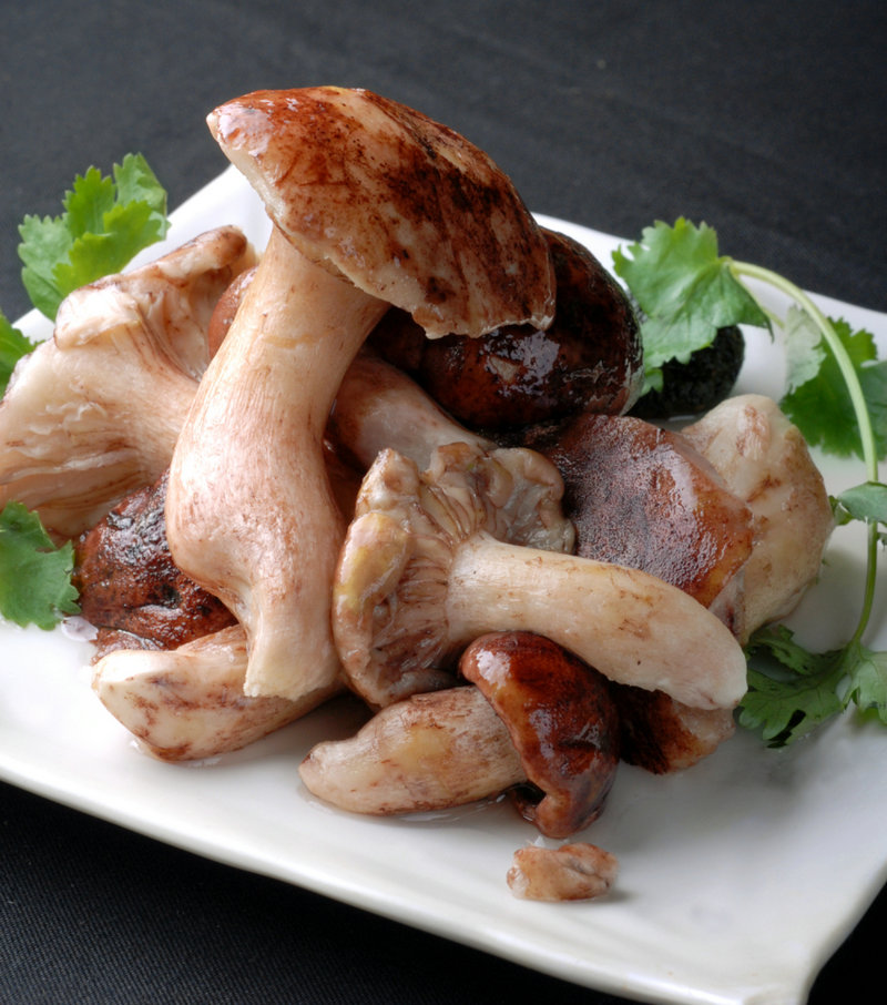 面包整形方法大全,面包整形方法大全视频